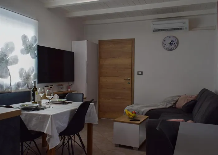 House Masha Pola